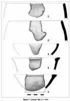 Chronicle of the Archaeological Excavations in Romania, 2019 Campaign. Report no. 25, Dobrovăţ, Cetăţuie (Dealul Cetăţuii)<br /><a href='CronicaCAfotografii/2019/01-sistematice/025-dobrovat-is-padurea-buda-s/fig-3-dobrovat-cetatuia-ceramica-l1.jpg' target=_blank>Display the same picture in a new window</a>