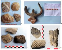 Chronicle of the Archaeological Excavations in Romania, 2019 Campaign. Report no. 25, Dobrovăţ, Cetăţuie (Dealul Cetăţuii)<br /><a href='CronicaCAfotografii/2019/01-sistematice/025-dobrovat-is-padurea-buda-s/fig15-dobrovat-padurea-buda-ceramica.jpg' target=_blank>Display the same picture in a new window</a>