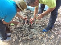 Chronicle of the Archaeological Excavations in Romania, 2019 Campaign. Report no. 25, Dobrovăţ, Cetăţuie (Dealul Cetăţuii)<br /><a href='CronicaCAfotografii/2019/01-sistematice/025-dobrovat-is-padurea-buda-s/fig9-dobrovat-padurea-buda-impregnare-altar.jpg' target=_blank>Display the same picture in a new window</a>