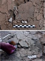 Chronicle of the Archaeological Excavations in Romania, 2019 Campaign. Report no. 44, Maliuc, Taraschina<br /><a href='CronicaCAfotografii/2019/01-sistematice/044-maliuc-tl-taraschina-s/pl-002.jpg' target=_blank>Display the same picture in a new window</a>