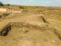 Cronica Cercetărilor Arheologice din România, Campania 2019. Raportul nr. 55, Pantelimon, Cetate<br /><a href='CronicaCAfotografii/2019/01-sistematice/055-pantelimonul-de-sus-ct-ulmetum-s/3-sector-sv-sectiunea-s-viii-profil-intermediar.jpg' target=_blank>Priveşte aceeaşi imagine într-o fereastră nouă</a>