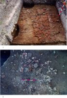 Cronica Cercetărilor Arheologice din România, Campania 2019. Raportul nr. 58, Pietroasa Mică, Gruiu Dării<br /><a href='CronicaCAfotografii/2019/01-sistematice/058-pietroasa-mica-bz-gruiu-darii-s/pl-i-ptr-gruiu-darii-1-c-295-2-c-295a.jpg' target=_blank>Priveşte aceeaşi imagine într-o fereastră nouă</a>