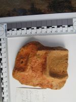 Cronica Cercetărilor Arheologice din România, Campania 2019. Raportul nr. 69, Scânteia, La Nuci (Dealul Bodeştilor).<br /> Sectorul Rezerve.<br /><a href='CronicaCAfotografii/2019/01-sistematice/069-scanteia-is-lanucidealbodesti-s/Rezerve/carou-b9b-vas.JPG' target=_blank>Priveşte aceeaşi imagine într-o fereastră nouă</a>. Titlu: Rezerve