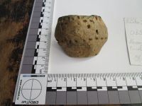 Cronica Cercetărilor Arheologice din România, Campania 2019. Raportul nr. 69, Scânteia, La Nuci (Dealul Bodeştilor).<br /> Sectorul Rezerve.<br /><a href='CronicaCAfotografii/2019/01-sistematice/069-scanteia-is-lanucidealbodesti-s/Rezerve/carou-b9b.JPG' target=_blank>Priveşte aceeaşi imagine într-o fereastră nouă</a>. Titlu: Rezerve