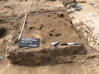 Cronica Cercetărilor Arheologice din România, Campania 2019. Raportul nr. 69, Scânteia, La Nuci (Dealul Bodeştilor).<br /> Sectorul Rezerve.<br /><a href='CronicaCAfotografii/2019/01-sistematice/069-scanteia-is-lanucidealbodesti-s/Rezerve/img-1441-vatra-l14-final.jpg' target=_blank>Priveşte aceeaşi imagine într-o fereastră nouă</a>. Titlu: Rezerve