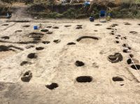 Cronica Cercetărilor Arheologice din România, Campania 2019. Raportul nr. 69, Scânteia, La Nuci (Dealul Bodeştilor).<br /> Sectorul Rezerve.<br /><a href='CronicaCAfotografii/2019/01-sistematice/069-scanteia-is-lanucidealbodesti-s/Rezerve/img-1559-gropile.jpg' target=_blank>Priveşte aceeaşi imagine într-o fereastră nouă</a>. Titlu: Rezerve