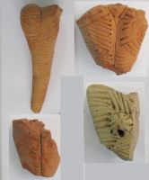 Cronica Cercetărilor Arheologice din România, Campania 2019. Raportul nr. 69, Scânteia, La Nuci (Dealul Bodeştilor)<br /><a href='CronicaCAfotografii/2019/01-sistematice/069-scanteia-is-lanucidealbodesti-s/Fig18.jpg' target=_blank>Priveşte aceeaşi imagine într-o fereastră nouă</a>