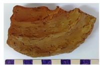 Cronica Cercetărilor Arheologice din România, Campania 2019. Raportul nr. 69, Scânteia, La Nuci (Dealul Bodeştilor)<br /><a href='CronicaCAfotografii/2019/01-sistematice/069-scanteia-is-lanucidealbodesti-s/Fig3.jpg' target=_blank>Priveşte aceeaşi imagine într-o fereastră nouă</a>