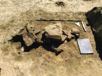 Cronica Cercetărilor Arheologice din România, Campania 2019. Raportul nr. 69, Scânteia, La Nuci (Dealul Bodeştilor)<br /><a href='CronicaCAfotografii/2019/01-sistematice/069-scanteia-is-lanucidealbodesti-s/Fig4a.jpg' target=_blank>Priveşte aceeaşi imagine într-o fereastră nouă</a>