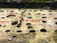 Cronica Cercetărilor Arheologice din România, Campania 2019. Raportul nr. 69, Scânteia, La Nuci (Dealul Bodeştilor)<br /><a href='CronicaCAfotografii/2019/01-sistematice/069-scanteia-is-lanucidealbodesti-s/Fig5.jpg' target=_blank>Priveşte aceeaşi imagine într-o fereastră nouă</a>