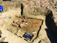 Cronica Cercetărilor Arheologice din România, Campania 2019. Raportul nr. 69, Scânteia, La Nuci (Dealul Bodeştilor)<br /><a href='CronicaCAfotografii/2019/01-sistematice/069-scanteia-is-lanucidealbodesti-s/fig10-gr-293-si-l15.jpg' target=_blank>Priveşte aceeaşi imagine într-o fereastră nouă</a>