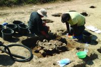 Cronica Cercetărilor Arheologice din România, Campania 2019. Raportul nr. 69, Scânteia, La Nuci (Dealul Bodeştilor)<br /><a href='CronicaCAfotografii/2019/01-sistematice/069-scanteia-is-lanucidealbodesti-s/fig12b-gr-in-timpul-golirii.JPG' target=_blank>Priveşte aceeaşi imagine într-o fereastră nouă</a>