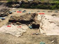 Cronica Cercetărilor Arheologice din România, Campania 2019. Raportul nr. 69, Scânteia, La Nuci (Dealul Bodeştilor)<br /><a href='CronicaCAfotografii/2019/01-sistematice/069-scanteia-is-lanucidealbodesti-s/fig2-vatra-l14.jpg' target=_blank>Priveşte aceeaşi imagine într-o fereastră nouă</a>