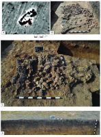 Cronica Cercetărilor Arheologice din România, Campania 2019. Raportul nr. 123, Săveni, Sat Nou<br /><a href='CronicaCAfotografii/2019/03-diagnostic/123-satnou-saveni-bt-d/fig-1.jpg' target=_blank>Priveşte aceeaşi imagine într-o fereastră nouă</a>