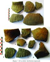 Cronica Cercetărilor Arheologice din România, Campania 2019. Raportul nr. 127, Rupea, Rupea 4 (La Movilă)<br /><a href='CronicaCAfotografii/2019/04-cercetari-2018/127-rupea-bv-rupea-4/fig-4.jpg' target=_blank>Priveşte aceeaşi imagine într-o fereastră nouă</a>