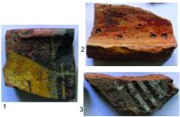 Cronica Cercetărilor Arheologice din România, Campania 2019. Raportul nr. 127, Rupea, Rupea 4 (La Movilă)<br /><a href='CronicaCAfotografii/2019/04-cercetari-2018/127-rupea-bv-rupea-4/fig-8.jpg' target=_blank>Priveşte aceeaşi imagine într-o fereastră nouă</a>