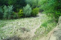 Cronica Cercetărilor Arheologice din România, Campania 2020. Raportul nr. 9, Călugăreni, Budureasca 11<br /><a href='CronicaCAfotografii/2020/01-Sistematice/009-budureasca/1-2.JPG' target=_blank>Priveşte aceeaşi imagine într-o fereastră nouă</a>