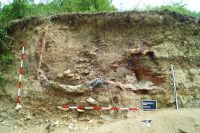 Cronica Cercetărilor Arheologice din România, Campania 2020. Raportul nr. 9, Călugăreni, Budureasca 11<br /><a href='CronicaCAfotografii/2020/01-Sistematice/009-budureasca/2-1.JPG' target=_blank>Priveşte aceeaşi imagine într-o fereastră nouă</a>