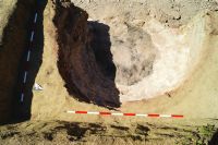 Cronica Cercetărilor Arheologice din România, Campania 2020. Raportul nr. 9, Călugăreni, Budureasca 11<br /><a href='CronicaCAfotografii/2020/01-Sistematice/009-budureasca/4-1.JPG' target=_blank>Priveşte aceeaşi imagine într-o fereastră nouă</a>