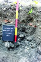 Chronicle of the Archaeological Excavations in Romania, 2020 Campaign. Report no. 10, Câmpulung, Str. Negru Vodă, nr. 76<br /><a href='CronicaCAfotografii/2020/01-Sistematice/010-campulung/fig-9.JPG' target=_blank>Display the same picture in a new window</a>