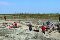 Chronicle of the Archaeological Excavations in Romania, 2020 Campaign. Report no. 17, Giurgeni, Piua Petrii (La Mănăstire)<br /><a href='CronicaCAfotografii/2020/01-Sistematice/017-giurgeni/img-0152.JPG' target=_blank>Display the same picture in a new window</a>