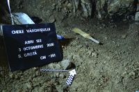 Cronica Cercetărilor Arheologice din România, Campania 2020. Raportul nr. 29, Mangalia<br /><a href='CronicaCAfotografii/2020/01-Sistematice/029-meresti/fig-5-detalii-sapatura.JPG' target=_blank>Priveşte aceeaşi imagine într-o fereastră nouă</a>