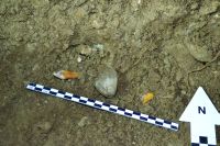 Cronica Cercetărilor Arheologice din România, Campania 2020. Raportul nr. 29, Mangalia<br /><a href='CronicaCAfotografii/2020/01-Sistematice/029-meresti/fig-6-detalii-sapatura.JPG' target=_blank>Priveşte aceeaşi imagine într-o fereastră nouă</a>