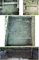 Chronicle of the Archaeological Excavations in Romania, 2020 Campaign. Report no. 40, Rapoltu Mare, La Vie<br /><a href='CronicaCAfotografii/2020/01-Sistematice/040-rapoltu-mare/pl-2.jpg' target=_blank>Display the same picture in a new window</a>