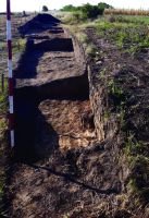 Cronica Cercetărilor Arheologice din România, Campania 2020. Raportul nr. 43, Roşiori, La Humărie (Ţarina Veche).<br /> Sectorul pl-4.<br /><a href='CronicaCAfotografii/2020/01-Sistematice/043-rosiori/pl-4/3.jpg' target=_blank>Priveşte aceeaşi imagine într-o fereastră nouă</a>. Titlu: pl-4