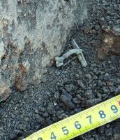 Cronica Cercetărilor Arheologice din România, Campania 2020. Raportul nr. 43, Roşiori, La Humărie (Ţarina Veche).<br /> Sectorul pl-5.<br /><a href='CronicaCAfotografii/2020/01-Sistematice/043-rosiori/pl-5/1.jpg' target=_blank>Priveşte aceeaşi imagine într-o fereastră nouă</a>. Titlu: pl-5