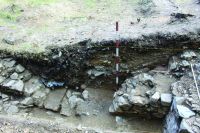Chronicle of the Archaeological Excavations in Romania, 2020 Campaign. Report no. 63, Voineşti, Măilătoaia (Malul lui Cocoş)<br /><a href='CronicaCAfotografii/2020/01-Sistematice/063-voinesti/fig-3b.JPG' target=_blank>Display the same picture in a new window</a>