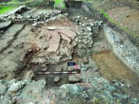 Chronicle of the Archaeological Excavations in Romania, 2020 Campaign. Report no. 63, Voineşti, Măilătoaia (Malul lui Cocoş)<br /><a href='CronicaCAfotografii/2020/01-Sistematice/063-voinesti/fig-5a.jpg' target=_blank>Display the same picture in a new window</a>