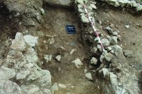 Chronicle of the Archaeological Excavations in Romania, 2020 Campaign. Report no. 63, Voineşti, Măilătoaia (Malul lui Cocoş)<br /><a href='CronicaCAfotografii/2020/01-Sistematice/063-voinesti/fig-7a.JPG' target=_blank>Display the same picture in a new window</a>
