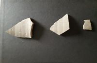 Cronica Cercetărilor Arheologice din România, Campania 2020. Raportul nr. 69, Cepleniţa<br /><a href='CronicaCAfotografii/2020/02-Preventive/069-ceplenita/fig-11.jpg' target=_blank>Priveşte aceeaşi imagine într-o fereastră nouă</a>