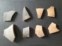 Cronica Cercetărilor Arheologice din România, Campania 2020. Raportul nr. 69, Cepleniţa<br /><a href='CronicaCAfotografii/2020/02-Preventive/069-ceplenita/fig-15.jpg' target=_blank>Priveşte aceeaşi imagine într-o fereastră nouă</a>