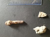 Cronica Cercetărilor Arheologice din România, Campania 2020. Raportul nr. 69, Cepleniţa<br /><a href='CronicaCAfotografii/2020/02-Preventive/069-ceplenita/fig-19.jpg' target=_blank>Priveşte aceeaşi imagine într-o fereastră nouă</a>