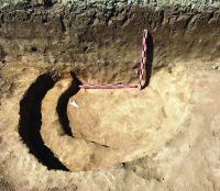 Cronica Cercetărilor Arheologice din România, Campania 2020. Raportul nr. 72, Palazu Mare, Bd. Tomis 401-Centrul Comercial<br /><a href='CronicaCAfotografii/2020/02-Preventive/072-constanta/fig-3.jpg' target=_blank>Priveşte aceeaşi imagine într-o fereastră nouă</a>