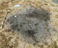 Cronica Cercetărilor Arheologice din România, Campania 2020. Raportul nr. 76, Enăcheşti, Livada Şcolii<br /><a href='CronicaCAfotografii/2020/02-Preventive/076-enachesti/03-enachesti-com-beresti-tazlau-jud-bacau-aspecte-din-timpul-cercetarii-complexului-cx-15.jpg' target=_blank>Priveşte aceeaşi imagine într-o fereastră nouă</a>