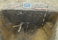 Cronica Cercetărilor Arheologice din România, Campania 2020. Raportul nr. 76, Enăcheşti, Livada Şcolii<br /><a href='CronicaCAfotografii/2020/02-Preventive/076-enachesti/04-enachesti-com-beresti-tazlau-jud-bacau-aspecte-din-timpul-cercetarii-complexului-cx-15.jpg' target=_blank>Priveşte aceeaşi imagine într-o fereastră nouă</a>