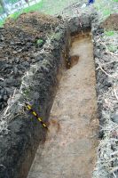 Chronicle of the Archaeological Excavations in Romania, 2020 Campaign. Report no. 81, Limba, Coliba Barbului<br /><a href='CronicaCAfotografii/2020/02-Preventive/081-limba/fig-13.JPG' target=_blank>Display the same picture in a new window</a>