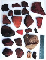 Chronicle of the Archaeological Excavations in Romania, 2020 Campaign. Report no. 81, Limba, Coliba Barbului<br /><a href='CronicaCAfotografii/2020/02-Preventive/081-limba/fig-16.jpg' target=_blank>Display the same picture in a new window</a>