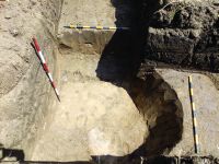 Chronicle of the Archaeological Excavations in Romania, 2020 Campaign. Report no. 81, Limba, Coliba Barbului<br /><a href='CronicaCAfotografii/2020/02-Preventive/081-limba/fig-19.jpg' target=_blank>Display the same picture in a new window</a>