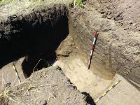 Chronicle of the Archaeological Excavations in Romania, 2020 Campaign. Report no. 81, Limba, Coliba Barbului<br /><a href='CronicaCAfotografii/2020/02-Preventive/081-limba/fig-23.jpg' target=_blank>Display the same picture in a new window</a>