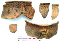 Chronicle of the Archaeological Excavations in Romania, 2020 Campaign. Report no. 81, Limba, Coliba Barbului<br /><a href='CronicaCAfotografii/2020/02-Preventive/081-limba/fig-28.jpg' target=_blank>Display the same picture in a new window</a>