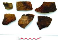 Chronicle of the Archaeological Excavations in Romania, 2020 Campaign. Report no. 81, Limba, Coliba Barbului<br /><a href='CronicaCAfotografii/2020/02-Preventive/081-limba/fig-30.jpg' target=_blank>Display the same picture in a new window</a>