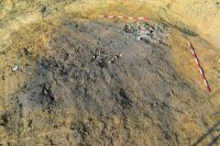 Cronica Cercetărilor Arheologice din România, Campania 2020. Raportul nr. 95, Târgşoru Vechi, Balastieră Holcim<br /><a href='CronicaCAfotografii/2020/02-Preventive/095-targsoru-vechi/pl-ii-2.JPG' target=_blank>Priveşte aceeaşi imagine într-o fereastră nouă</a>