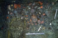 Cronica Cercetărilor Arheologice din România, Campania 2020. Raportul nr. 95, Târgşoru Vechi, Balastieră Holcim<br /><a href='CronicaCAfotografii/2020/02-Preventive/095-targsoru-vechi/pl-iii-1.JPG' target=_blank>Priveşte aceeaşi imagine într-o fereastră nouă</a>