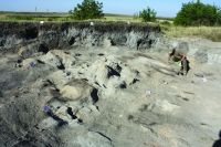 Cronica Cercetărilor Arheologice din România, Campania 2020. Raportul nr. 102, Vitanesti, La Măgurice (Teleor 007)<br /><a href='CronicaCAfotografii/2020/02-Preventive/102-vitanesti/img-01.JPG' target=_blank>Priveşte aceeaşi imagine într-o fereastră nouă</a>