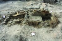 Cronica Cercetărilor Arheologice din România, Campania 2020. Raportul nr. 102, Vitanesti, La Măgurice (Teleor 007)<br /><a href='CronicaCAfotografii/2020/02-Preventive/102-vitanesti/img-02.JPG' target=_blank>Priveşte aceeaşi imagine într-o fereastră nouă</a>