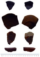 Cronica Cercetărilor Arheologice din România, Campania 2020. Raportul nr. 104, Băiceni, Dealul Laiu (Cetăţuie; Dealul Cetăţuie)<br /><a href='CronicaCAfotografii/2020/03-Diagnostic/104-baiceni/baiceni-fig-4.jpg' target=_blank>Priveşte aceeaşi imagine într-o fereastră nouă</a>